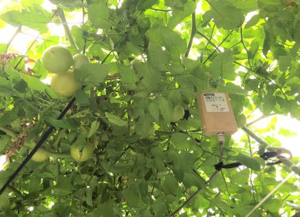 Image 1 of Customer’s assessment