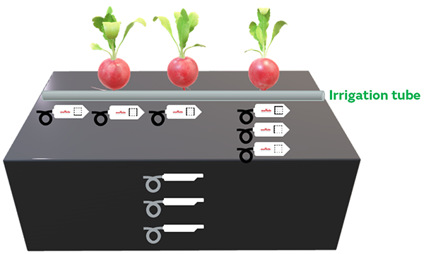 Image 1 of Properly installed Murata soil sensors enable three-dimensional distribution measurement of soil conditions