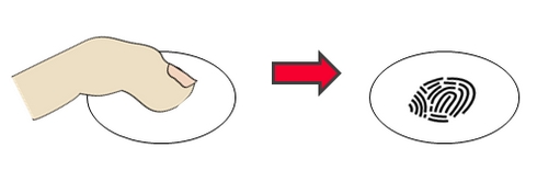diaphragm with bare hand